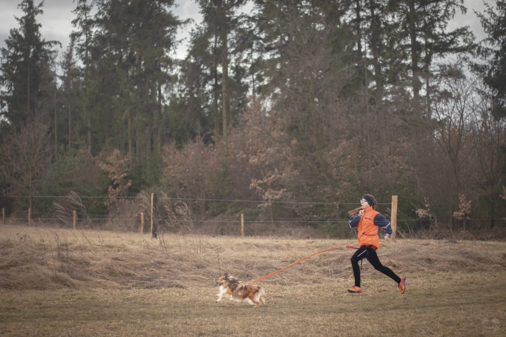 Canicross & Bikejoring